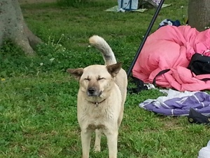 2015050509584200.jpg