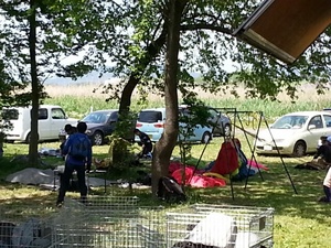 2015050512184200.jpg